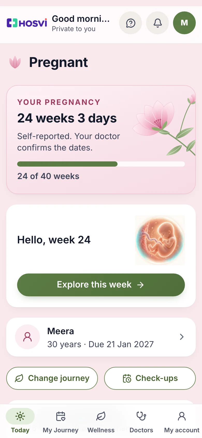 This week in pregnancy: 24 weeks 4 days, the due date and the baby the size of a corn cob, with sample data
